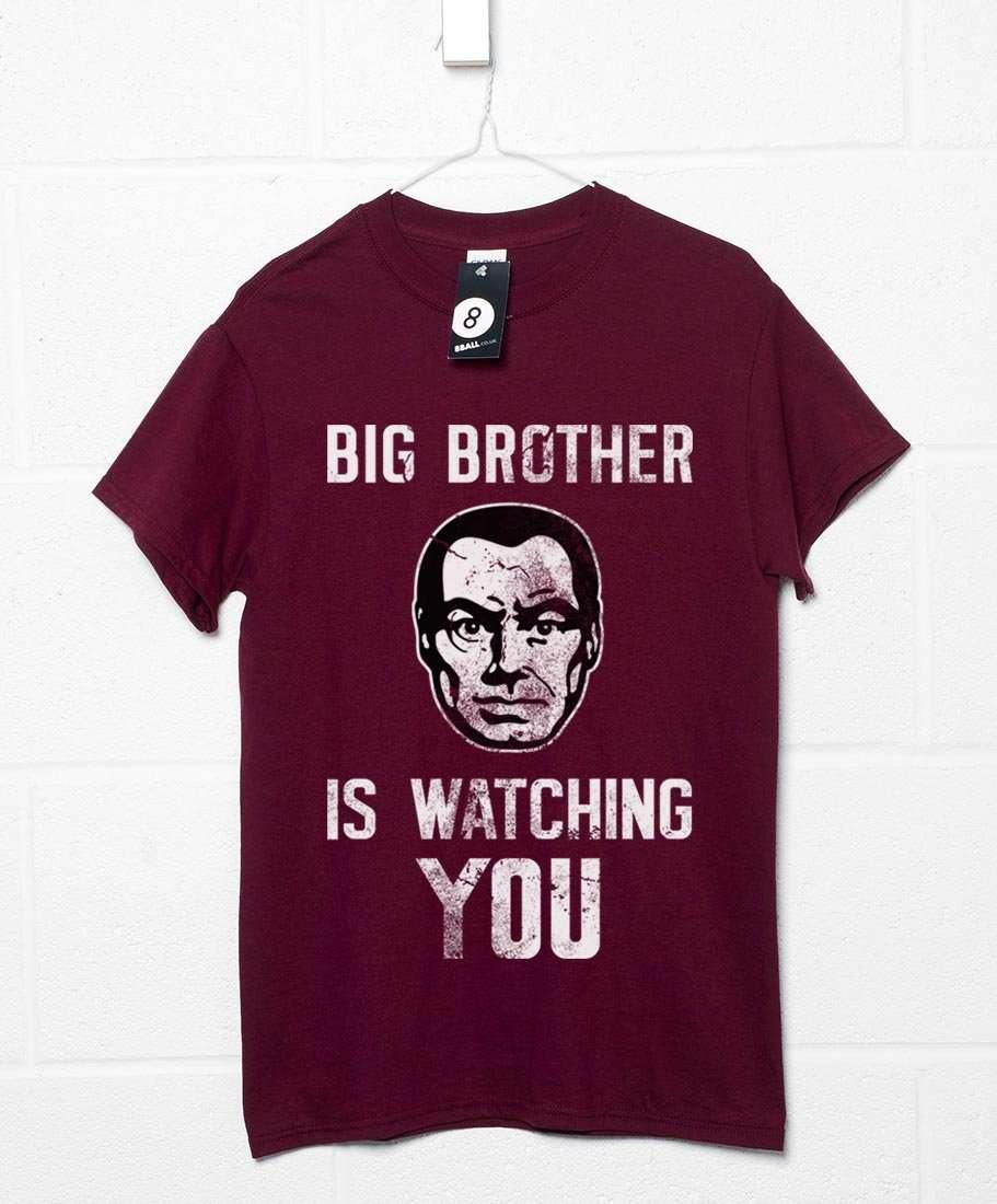 Big Brother is Watching You T-Shirt product image 2