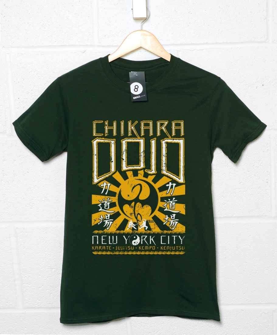 Chikara Dojo Womens Fitted T-Shirt product image 1