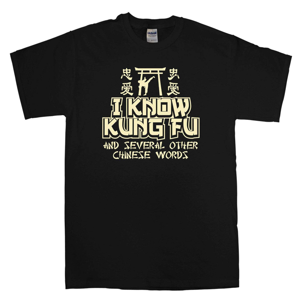 I Know Kung Fu T-Shirt product image 1