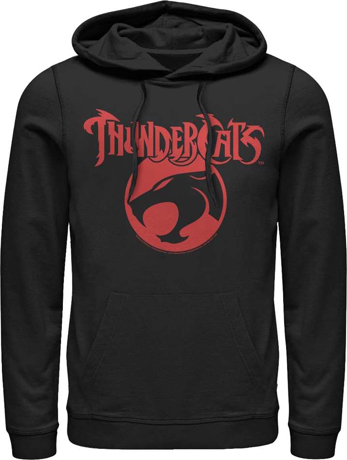 Logo ThunderCats Hoodie product image 1