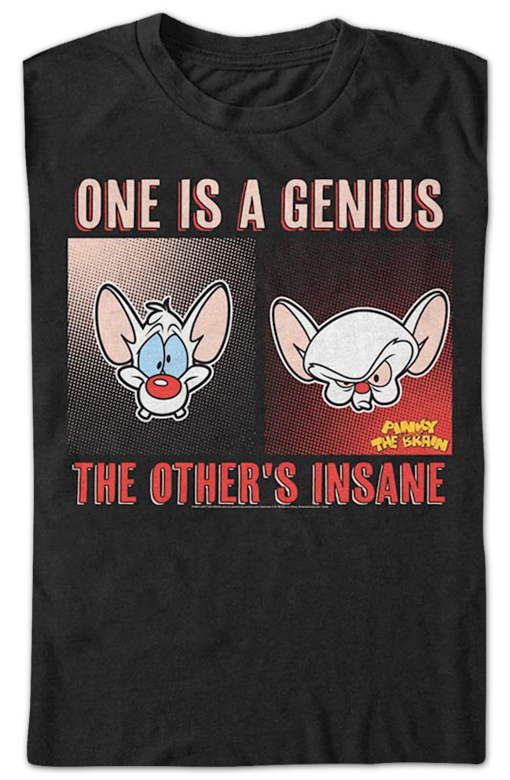 One is a Genius the Other is Insane Pinky and Brain T-Shirt product image 2