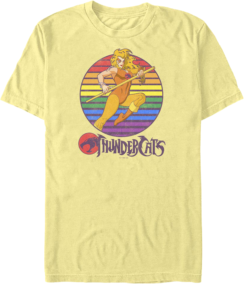 Vintage Cheetara Action Pose ThunderCats T-Shirt product image 1