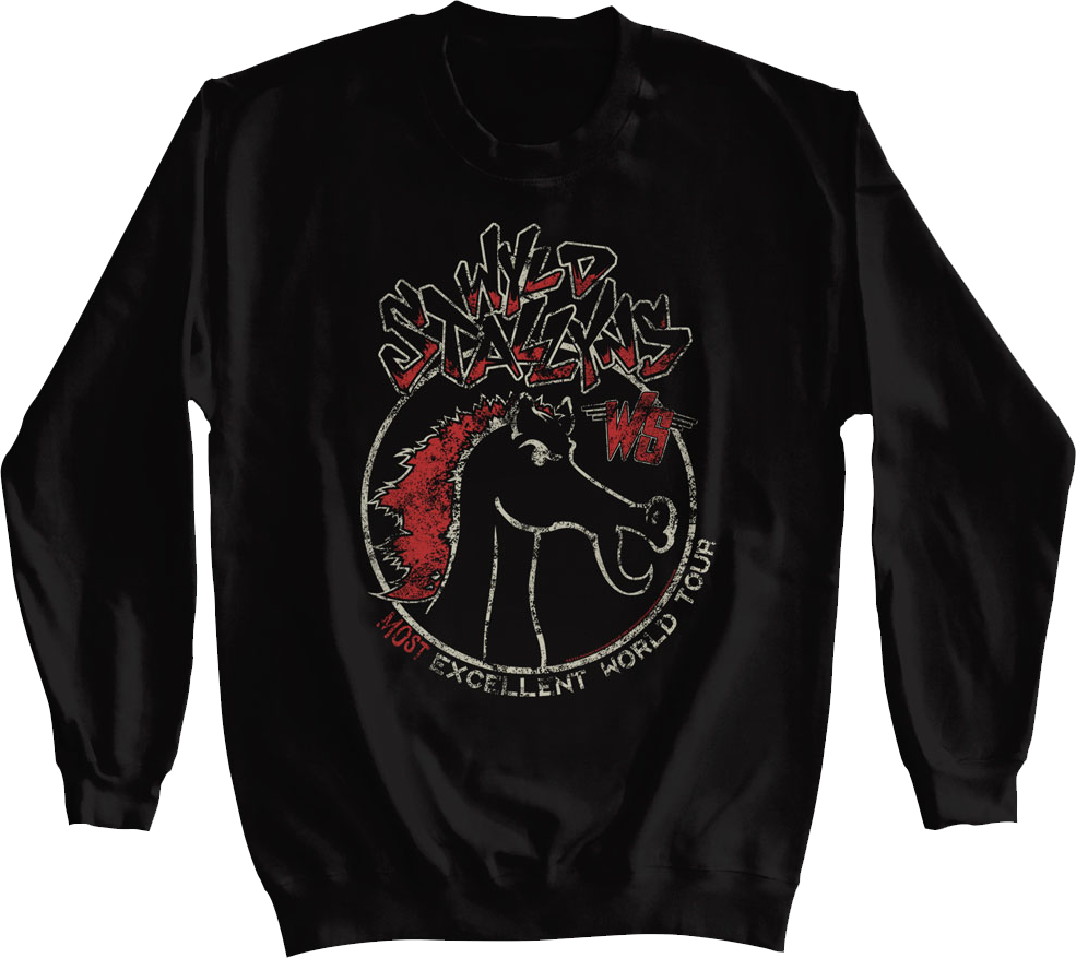 Wyld Stallyns Most Excellent World Tour Bill and Ted product image 1